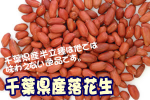【30％増量中】千葉半立素煎ピーナッツ　156g入