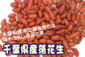 千葉半立素煎りピーナッツ　300g入